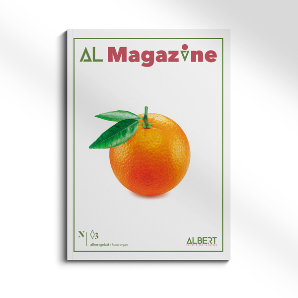 al_magazine 