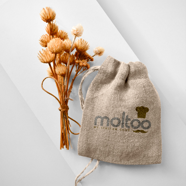 moltoo_logo 